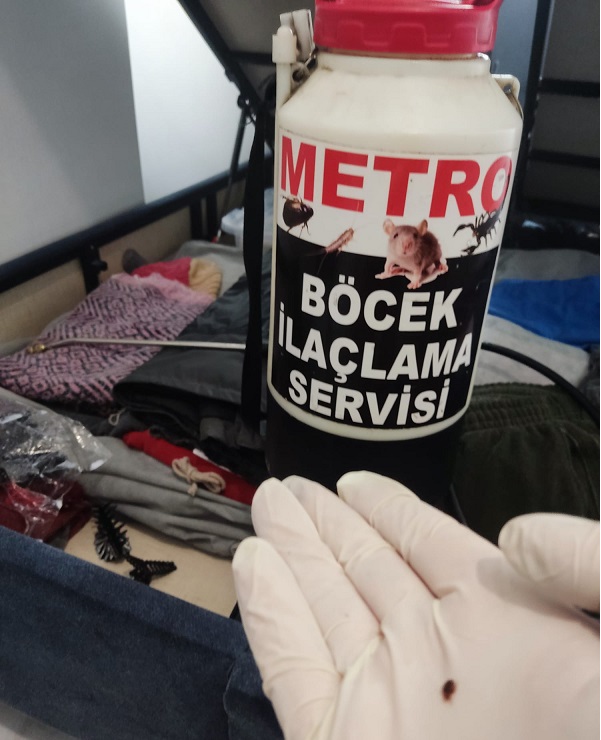 İstanbul Profesyonel Pire İlaçlama Servisi - Saha Çalışması